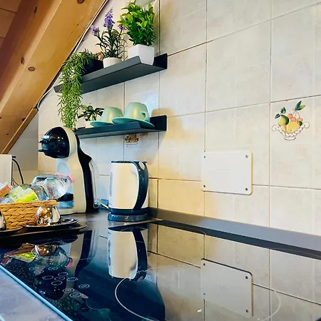 Coco Home-chic Mansarda In The Heart Of 아파트 토리노