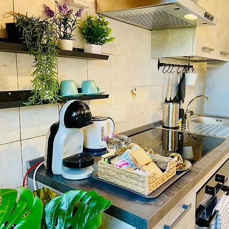 Διαμέρισμα Coco Home-chic Mansarda In The Heart Of