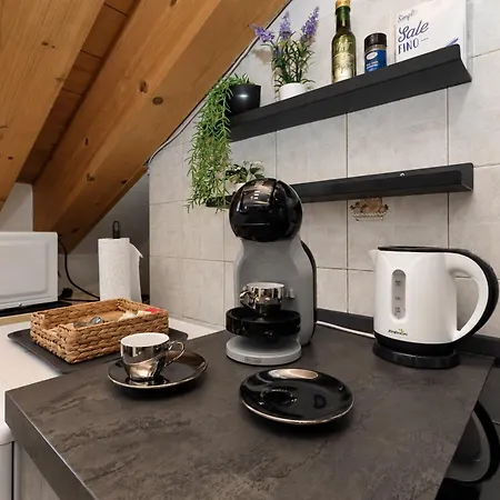 Coco Home-chic Mansarda In The Heart Of * Turin